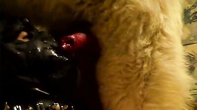 Puppys Slobbery Mask Blow Job Ends in Canine Cream Pie Cumming