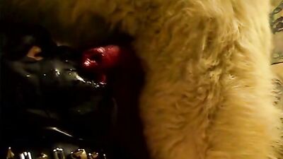 Puppys Slobbery Mask Blow Job Ends in Canine Cream Pie Cumming