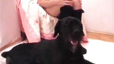 Ariels Steamy Day with Her Canine Companion Ends in a Messy Blowout