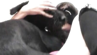 Ariels Steamy Day with Her Canine Companion Ends in a Messy Blowout