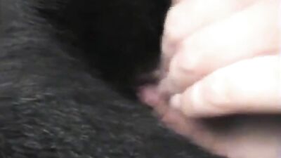 Ariels Steamy Day with Her Canine Companion Ends in a Messy Blowout
