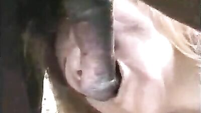 Devour the Cock