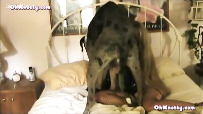 Taming The Beast