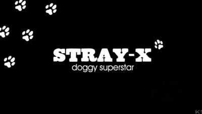 Doggy Superstar