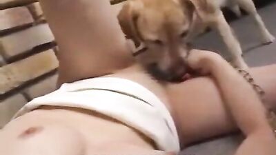 Love by a dog