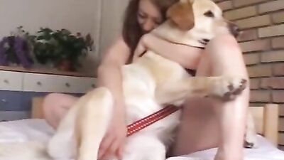 Love by a dog