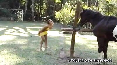 Amazon and her beast