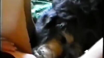 Doggie Devours Virgin Pussy, First Time Furry Frenzy