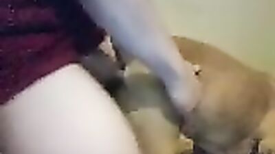 Pitbull Pounds Milfs Ass in Wild Orgy Session