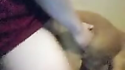 Pitbull Pounds Milfs Ass in Wild Orgy Session