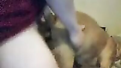 Pitbull Pounds Milfs Ass in Wild Orgy Session