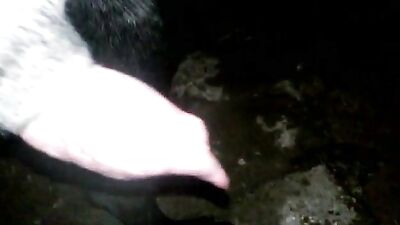 Monkey Love Turns Wild as She Sucks Cum
