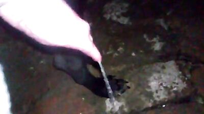 Monkey Love Turns Wild as She Sucks Cum