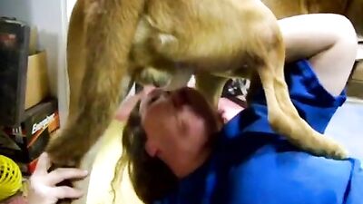 Pregnant Zoo Animals Bang Busty Babes In Lewd Animal Sex Compilations