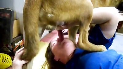 Pregnant Zoo Animals Bang Busty Babes In Lewd Animal Sex Compilations