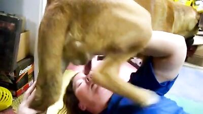 Pregnant Zoo Animals Bang Busty Babes In Lewd Animal Sex Compilations