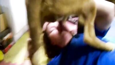 Pregnant Zoo Animals Bang Busty Babes In Lewd Animal Sex Compilations