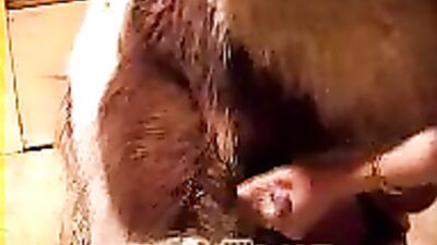 wanking and sucking