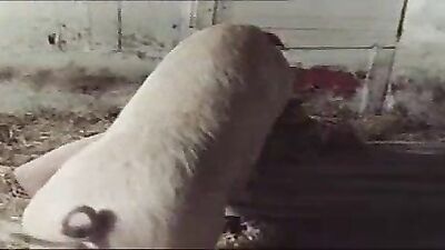 fucking fat