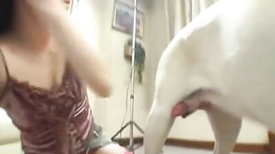 Wild Asian Beauty Dives into Zoo Sex with Hung Dogs