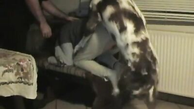The alpha male fucks his bitch