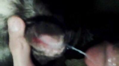 fucking dog pussy