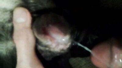 fucking dog pussy