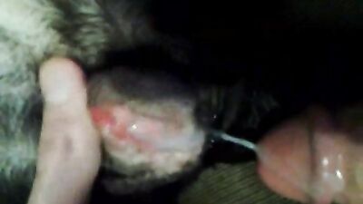 fucking dog pussy