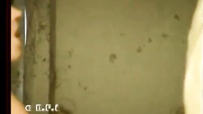 Wild Zoo Girls Strip & Get Fucked By Hung Dogs