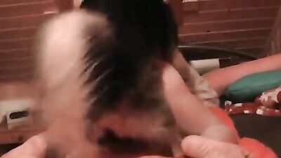 arrested by police dog