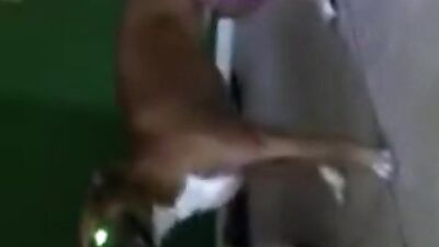 Gagging On Huge Knot Filled Between My Throbbing Pussy Lips