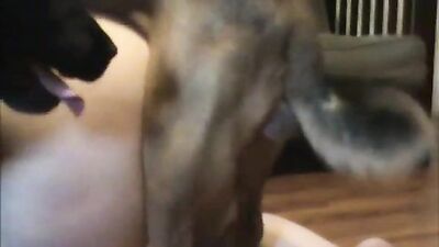 Her Huskys Hard Dick Delights Her Mouth