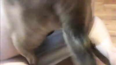Her Huskys Hard Dick Delights Her Mouth