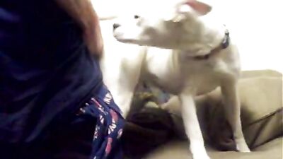 Breed Me, Puppy Boy!
