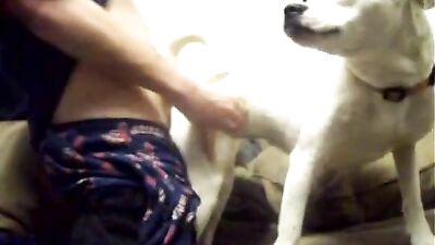 Breed Me, Puppy Boy!