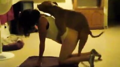 enjoy the pet