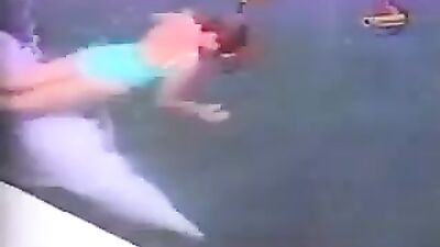 hot game with dolphin