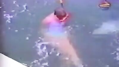 hot game with dolphin