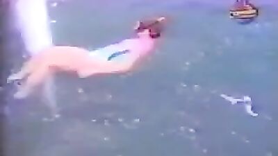 hot game with dolphin