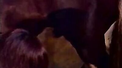 milking the horse