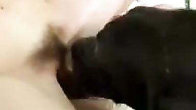 couple and dog