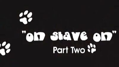 ZooSkool - Stray X - On Slave On.avi part II