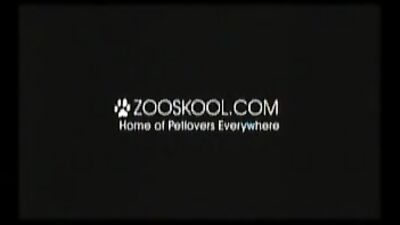 Zooskool - Stray X - The Record - Part 2