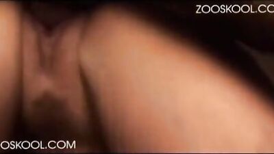 Zooskool - Stray X - The Record - Part 3