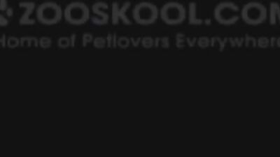 Zooskool - Summer - Christmas In Summer