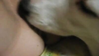 Petting zoo pleasures: Jap babe between feline and canine lovers