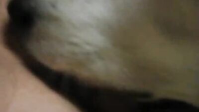 Petting zoo pleasures: Jap babe between feline and canine lovers
