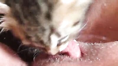 Sexy Moms Jaw-Dropping Doggy Threesome