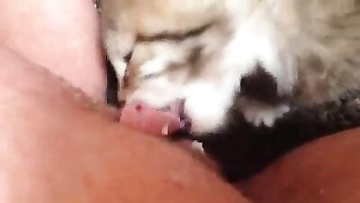 Sexy Moms Jaw-Dropping Doggy Threesome