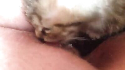 Sexy Moms Jaw-Dropping Doggy Threesome